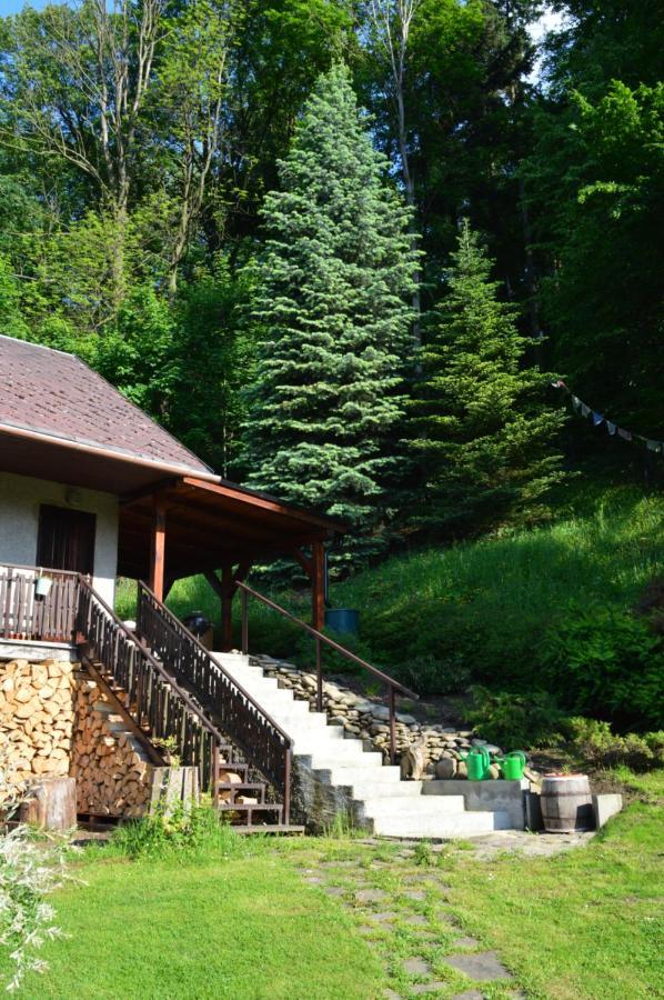 Dobra Chata V Dobre Villa Frydek-Mistek Bagian luar foto