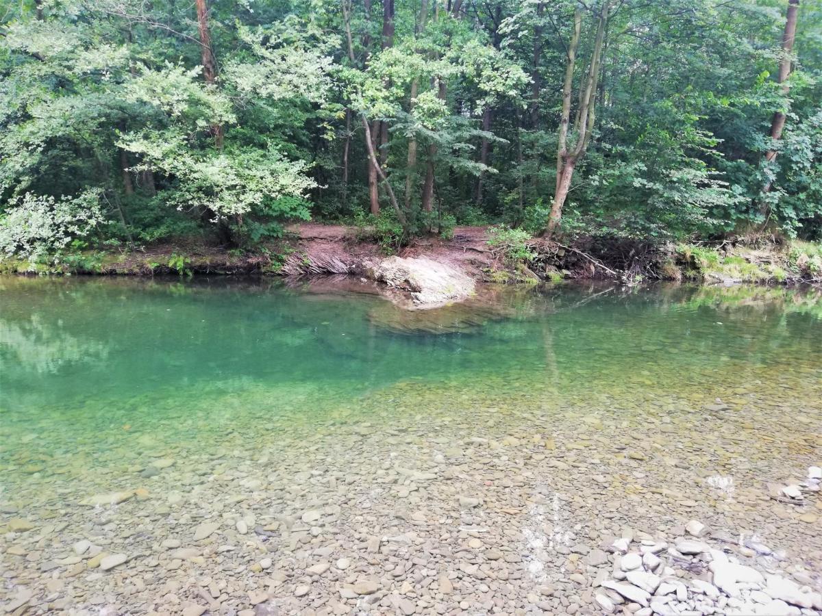 Dobra Chata V Dobre Villa Frydek-Mistek Bagian luar foto